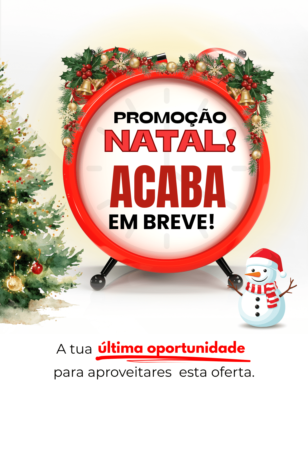 Banner da promoção de Natal da Carlega, versão horizontal